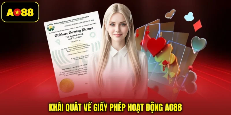 Khái quát về giấy phép hoạt động AO88